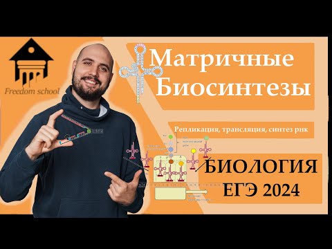 Матричные БИОСИНТЕЗЫ - Репликация, Транскрипция, Трансляция ДЛЯ ЕГЭ 2024 |ЕГЭ БИОЛОГИЯ|Freedom|
