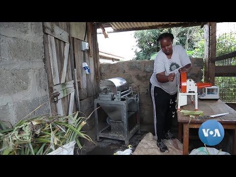 Kenyan Woman Innovator Creates Biodegradable Pads from Agricultural Waste