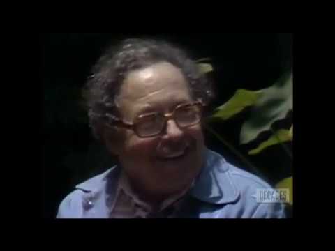 Tennessee Williams--Rare 1974 TV Interview