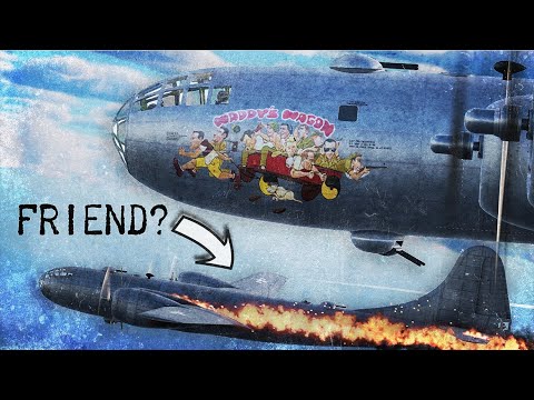 The Pilot that Tried to Save His Crippled Friend