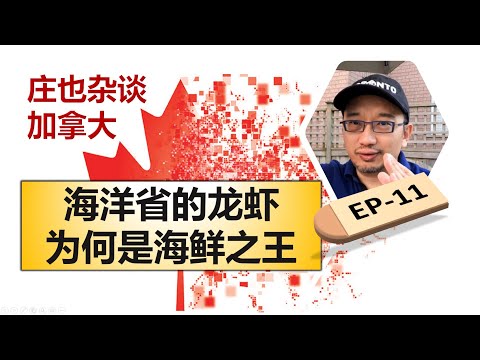 海洋省的龙虾为什么是海鲜之王？龙虾小镇为什么成了世界龙虾之都？龙虾知识大全，带你细数世界最大龙虾【庄也杂谈加拿大11】