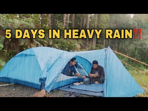 5 Days Not Solo Camping in Heavy Rain‼️ Not Solo Camping in Heavy Rain