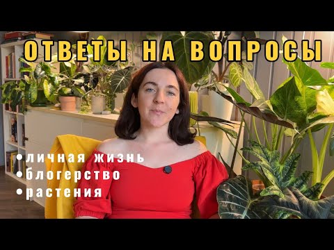 Отвечаю на вопросы подписчиков. Про личную жизнь, блогерство, растения и т.д.