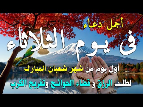 دعاء في يوم الجمعه المستجاب دعاء يوم 6 من شهر رجب  للرزق والشفاء العاجل وقضاء الحوائج 🤲(4k)