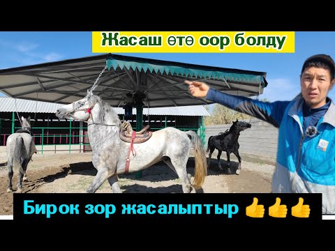 Ат сууткан айлампа менен таанышабыз. Телефону👉 +996709294510.