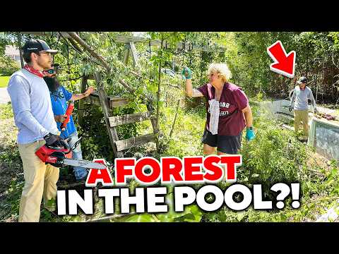 It took the WHOLE NEIGHBORHOOD to uncover this yards SHOCKING SECRET