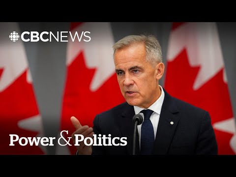 Carney should avoid making a ‘bad deal quickly’ with Trump: former ambassador | Power & Politics