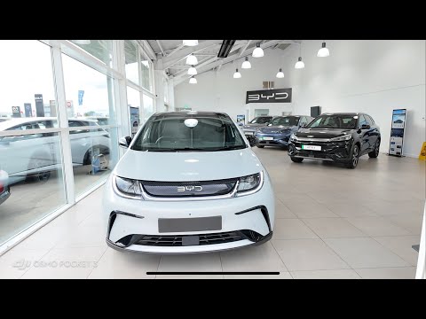 BYD Dolphin 2025 v2 latest model 