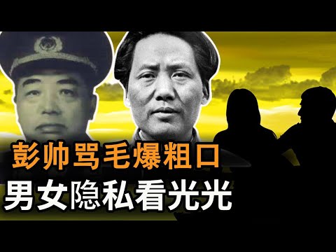 【欺世大观】177 共党开国元帅彭德怀庐山会议上批评毛泽东大跃进乱来，甚至粗口怼毛，曝出了延安整风一段不堪的往事