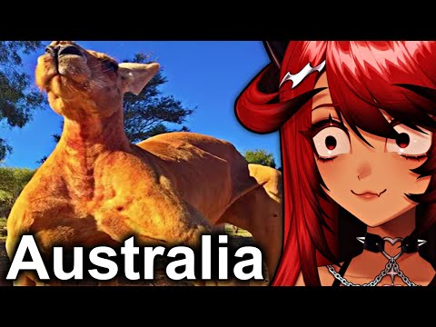 EUROPEAN Reacting to AUSTRALIA'S WILDLIFE (Part 1) | More Parz Reaction
