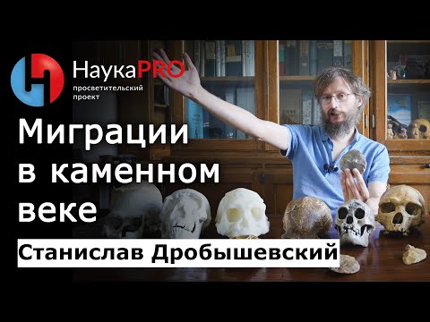 Миграции древних людей в каменном веке – Станислав Дробышевский | Лекции по антропологии | Научпоп