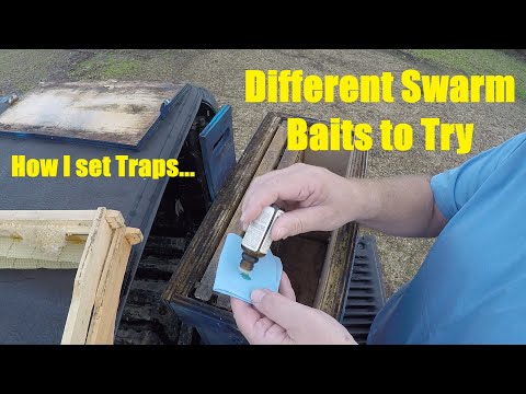 Swarm Traps-Baiting and Setting