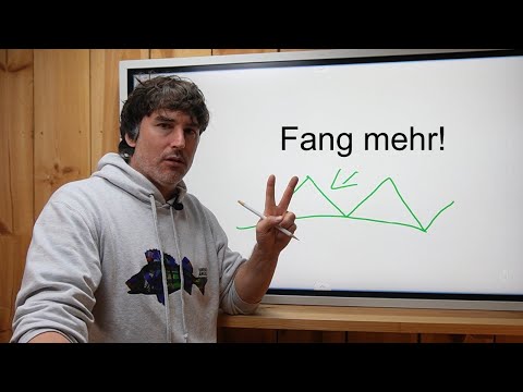 Avoid these 4 mistakes when fishing for zander!