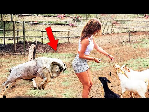 Kumpulan Momen Kocak & Konyol Bikin Ngakak Sampai Sakit Perut 😂🤣 Video Lucu 2025 #29