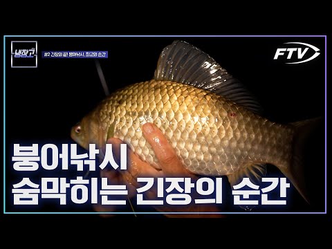 [FTV Refrigerator] The pinnacle of thrilling carp fishing! A compilation of the best moments (ZIP...