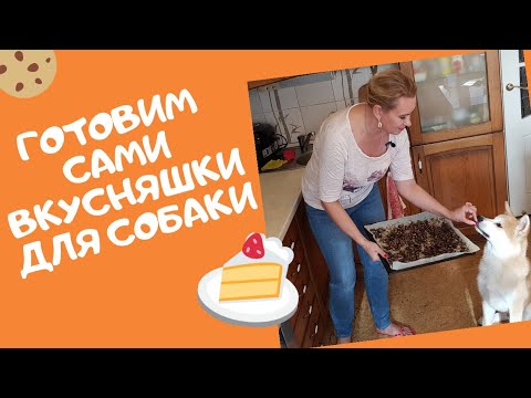 Готовим сами вкусняшки для собаки. Изготовление прикорма для дрессуры своими руками.