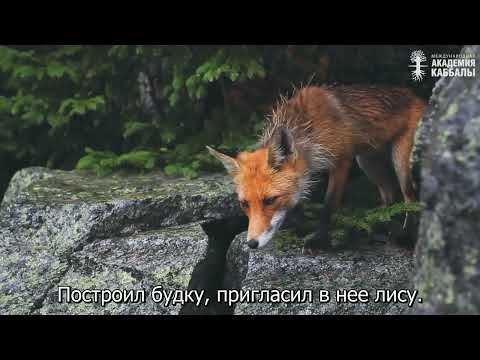 Одиночество – это подарок Творца? Взгляд каббалиста