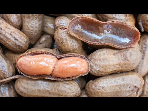 How to Make Southern Boiled Peanuts in the Crockpot