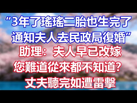 “3年了瑤瑤二胎也生完了，通知夫人去民政局復婚”，助理：夫人早已改嫁，您難道從來都不知道？丈夫聽完如遭雷擊