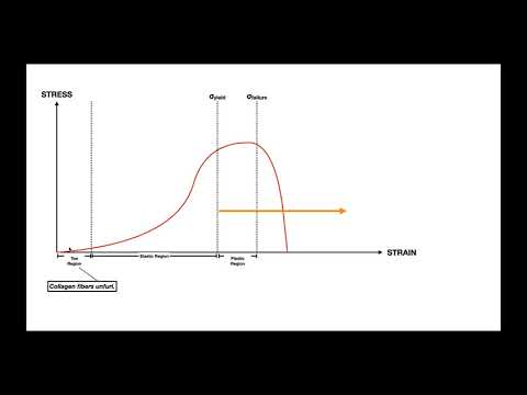 The Stress-Strain Curve EXPLAINED [for Ligaments & Tendons]