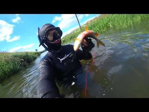 Подводная охота. Охота на малой реке. Открытие сезона подводной охоты 2024