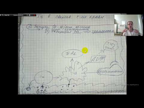 Гемостаз простыми словами. Геморрагические диатезы.