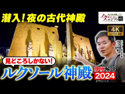 【古代遺跡】幻想的な夜の姿も大公開！ルクソール神殿を現地解説（エジプト・ラメセス2世・カルナック神殿・歴史・遺跡・考古学）