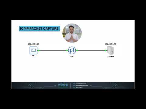 Learn Network Packet Capture: Practical Analysis of Ping, DNS, & Telnet for Beginners!