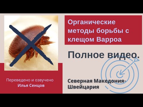 Органические методы борьбы с клещом Варроа (Северная Македония). Полное видео.