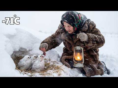 Surviving at  71°C | A 90 year old woman helps starving snowy owls during a harsh Siberian winter
