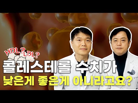 콜레스테롤 수치는 높아도 문제! 낮아도 문제! 너무 낮춰버리면 오히려 더 나쁜 결과가 생길 수 있습니다. /마음편한유외과 /자율신경기능의학 /아프지마쇼