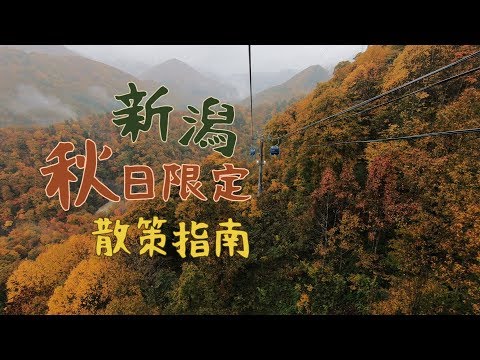 鏡食旅》新潟秋日限定散策指南