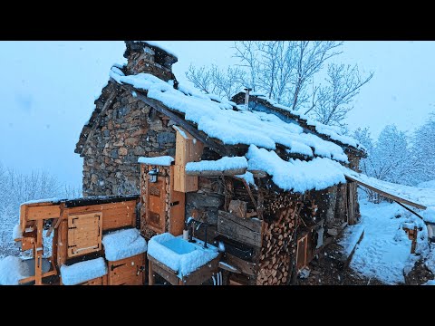 EP 113 | Alone in the Alps | Racing the Snow, Cabin Repairs & a Quiet Break