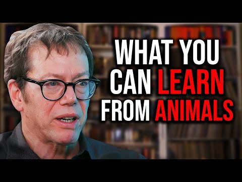 Why I Love Animals So Deeply