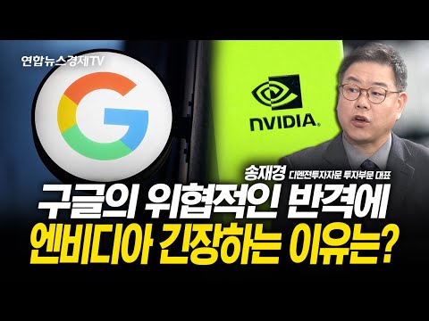구글의 위협적인 반격에 엔비디아 긴장하는 이유는? (송재경 대표) l 251125 굿모닝인포맥스