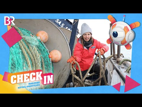 Geisterhafte Netze | CHECK IN - Marinas Rätsel-Abenteuer | BR