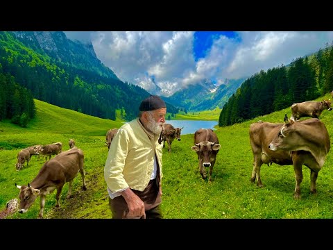 Real Life in Remote Mountain Villages | Best Videos of 2024