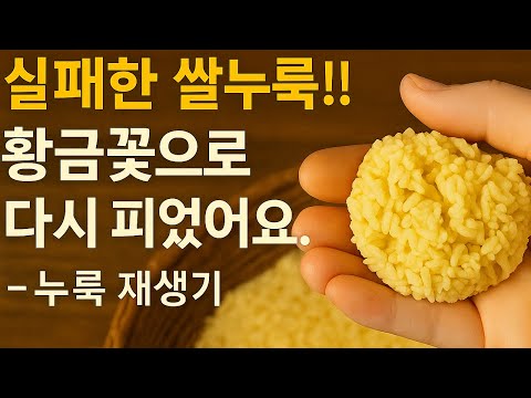 실패한 쌀누룩!! 황금꽃으로 다시 피었어요-누룩 재생기