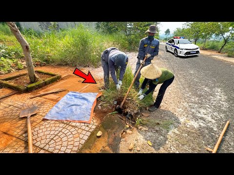 I just wanted to clear the walkway for the elderly… and then something beautiful happened