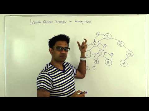 Lowest Common Ancestor Binary Tree