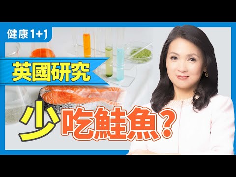 DHA含量鯖魚最高，多種健康益處；你吃對魚了嗎？英國最新研究：多吃鯖魚少吃鮭魚 | 健康1+1 · 影片