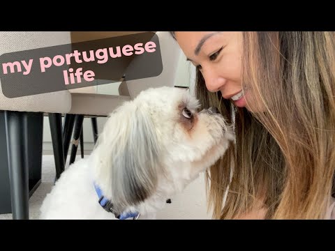 My Portuguese Life// An Americans New Life In Portugal Vlog// Silver Coast Portugal