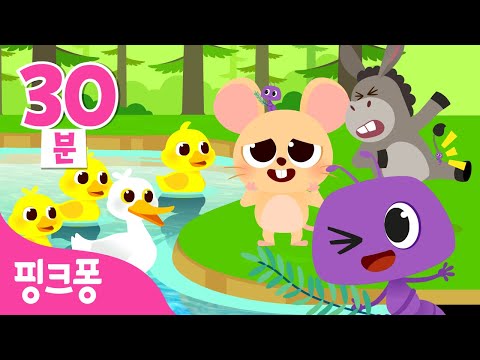 꽥꽥, 찍찍, 삐약삐약🌾핑크퐁 동물 농장ㅣ동물 동요ㅣ꽥꽥꽥 아기 오리,  아기 생쥐 찍찍찍, 개미 한 마리, 고양이 아저씨 이야기ㅣ전래 동요ㅣ페파페페와 노래해요ㅣ핑크퐁! 인기동요