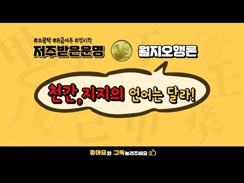 천간과 지지의 언어는 달라