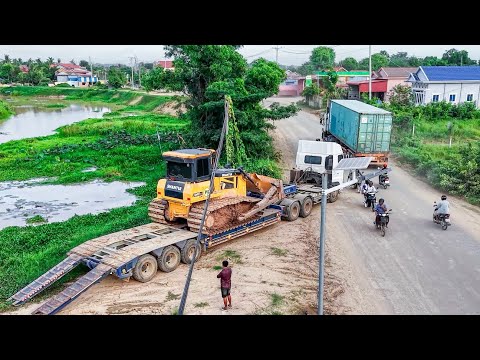 AMAZING! Start Project LANDFILL by Smart Skill Driver 5T Trucks Unloading soilrock &Dozer SHANTUI c3