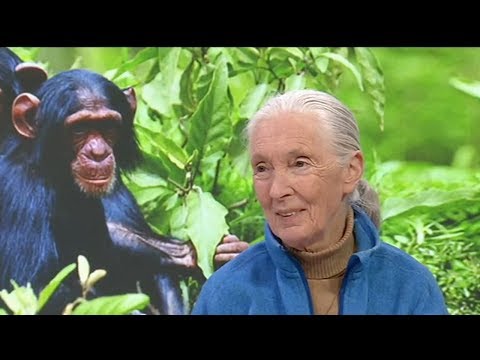 Icon: The Life of Jane Goodall