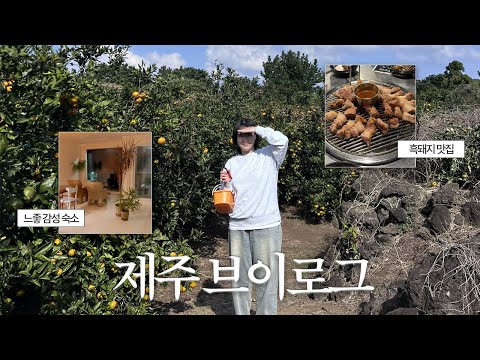 제주 여행 브이로그 ㅣ올레시장 꿀팁, 가성비 감성 숙소, 구좌 맛집 그리고 이색 체험까지 대공개 🏝️🧡