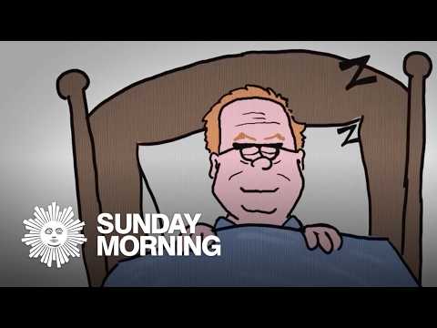 Why it's important to sleep, nap and be lazy (sometimes)