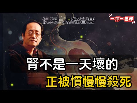 倪海廈：腎不是一天壞的！你的腎正被這幾種慢性習慣慢慢殺死！#一禪一故事#禪 #佛 #道 #禪定 #悟道