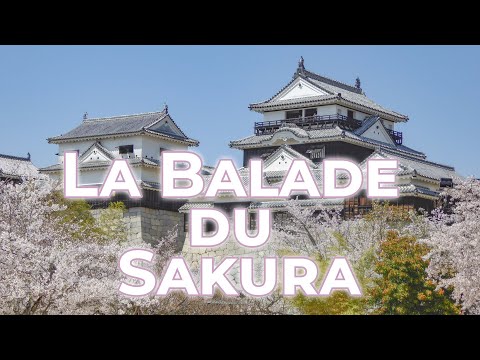 La Balade du Sakura - documentaire Japon sur les châteaux japonais